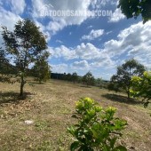 HOT !!! CHÍNH CHỦ BÁN SIÊU PHẨM - BÁN NHANH ĐẤT ĐẸP Phù Hợp Cho Mọi Gia Đình