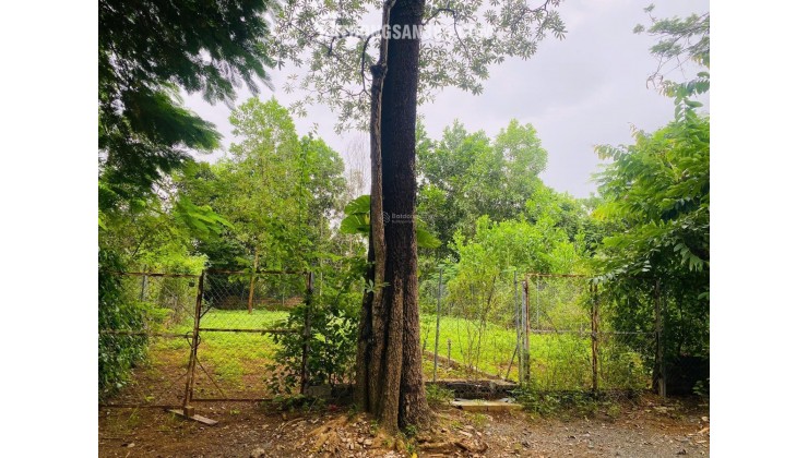 CHÍNH CHỦ BÁN ĐẤT HÒA LẠC, QUỐC OAI 116M², NGÃ 3, SÁT ĐƯỜNG TO XE BUÝT, GẦN METRO 5 VỪA KHỞI CÔNG