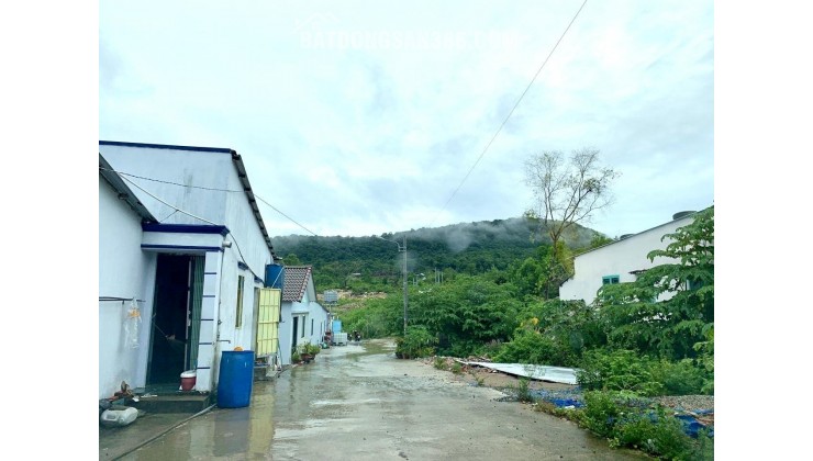 Bán đất thổ cư diện tích 1000m2 tại đặc khu Phú Quốc