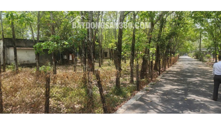 CẦN BÁN QUỸ ĐẤT LỚN 3 MẶT TIỀN NGAY SAU LƯNG CHỢ ĐỊNH HIỆP – DẦU TIẾNG