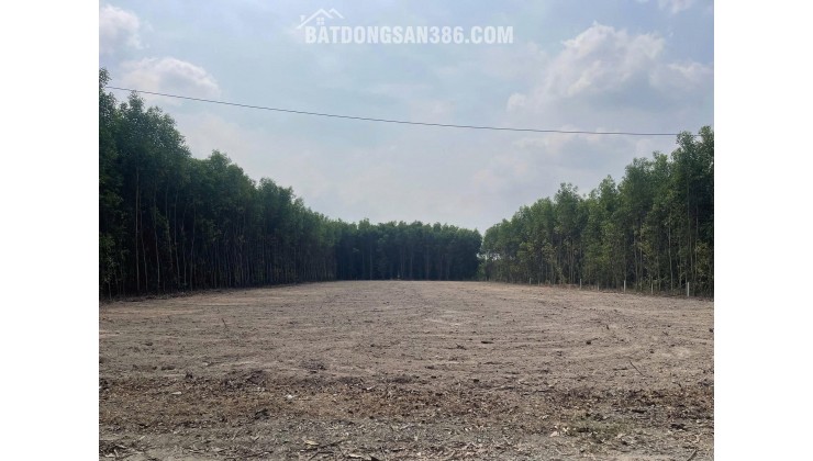 Bán Đất Khu Dân Cư Phước An Nhơn Trạch Giá Rẻ