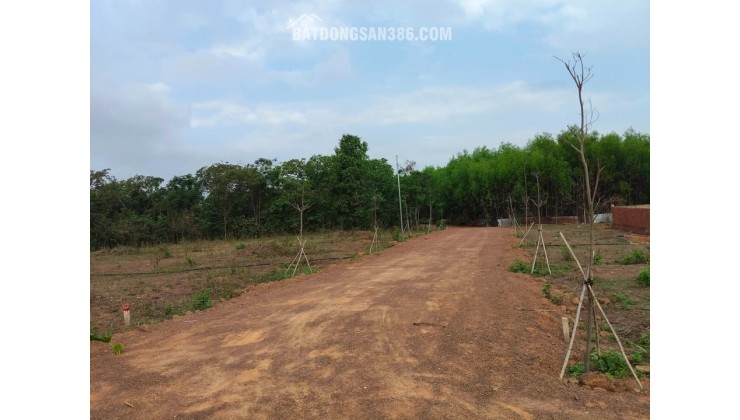 CHÍNH CHỦ GỬI ĐẤT VƯỜN GẦN HỒ TRỊ AN - 500M2 - 480TR - SỔ SẴN