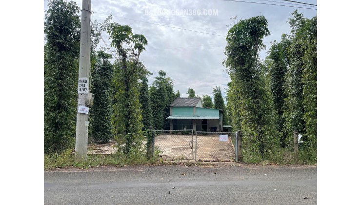 BÁN SIÊU PHẨM ĐẤT PHỦ HỒNG VƯỜN ĐẸP - Phù Hợp Cho Mọi Gia Đình