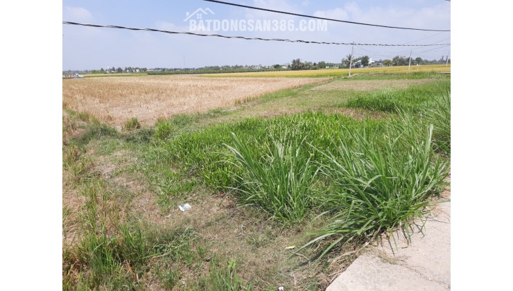 Bán gấp lô đất lúa hai mặt tiền hạ giá 550 triệu.công