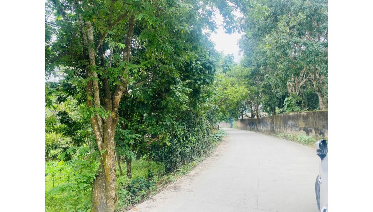  CẦN BÁN LÔ ĐẤT ĐẸP – LƯƠNG SƠN   Xóm Rụt, xã Tân Vinh, Hòa Bình