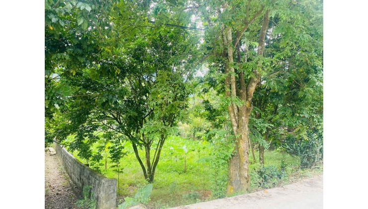  CẦN BÁN LÔ ĐẤT ĐẸP – LƯƠNG SƠN   Xóm Rụt, xã Tân Vinh, Hòa Bình