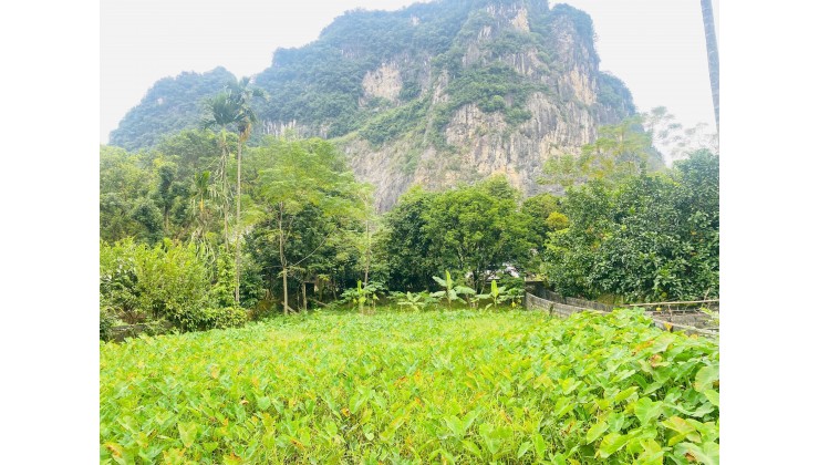  CẦN BÁN LÔ ĐẤT ĐẸP – LƯƠNG SƠN   Xóm Rụt, xã Tân Vinh, Hòa Bình