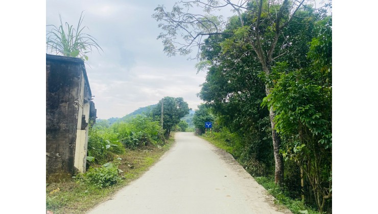  CẦN BÁN LÔ ĐẤT ĐẸP – LƯƠNG SƠN   Xóm Rụt, xã Tân Vinh, Hòa Bình