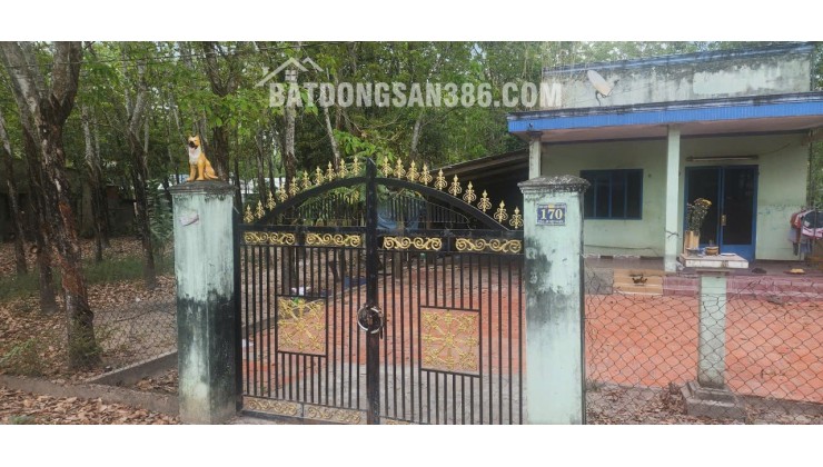 CẦN BÁN QUỸ ĐẤT LỚN 3 MẶT TIỀN NGAY SAU LƯNG CHỢ ĐỊNH HIỆP – DẦU TIẾNG