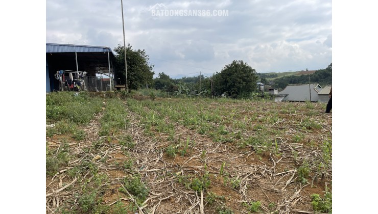 TÔI CHÍNH CHỦ BÁN LỖ LÔ ĐẤT TẠI CAO PHONG, HÒA BÌNH.