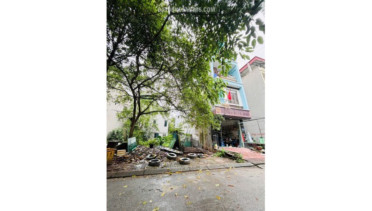 BÁN ĐẤT PHỐ NGUYỄN TỰ CƯỜNG – P. KINH BẮC – TP BẮC NINH