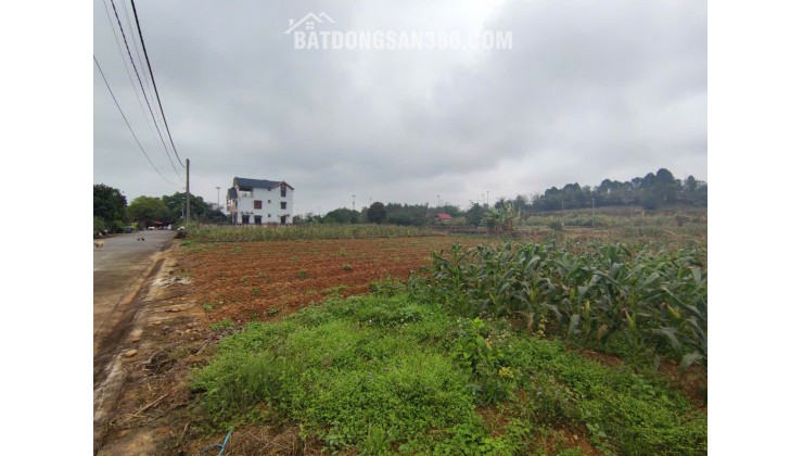 Đất tái định cư Đồng Doi – điểm sáng đầu tư gần ĐHQG Hà Nội