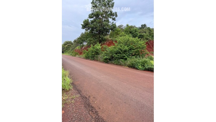 CẦN BÁN ĐẤT VIEW HỒ – VIEW NÚI - VIEW SĂN MÂY SIÊU ĐẸP Tại PHƯỚC BÌNH – ĐỒNG NAI