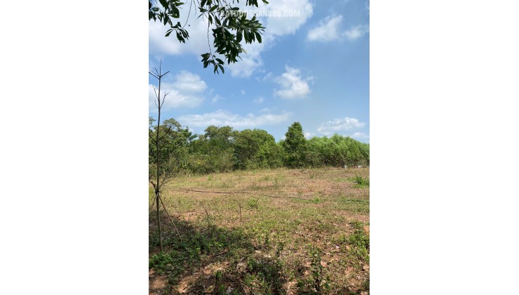 CHÍNH CHỦ GỬI ĐẤT VƯỜN GẦN HỒ TRỊ AN - 500M2 - 480TR - SỔ SẴN