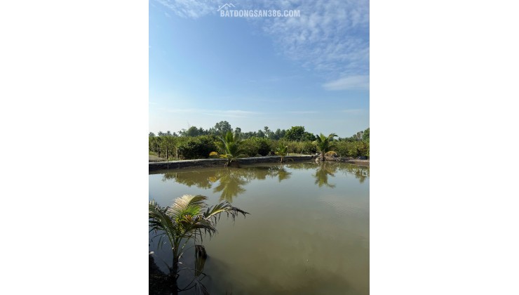 ĐẦU TƯ SINH LỜI - Chính Chủ Cần Bán Nhà Đất Tại Ấp 3, xã Tân Thành , huyện Thủ Thừa , tỉnh Long An