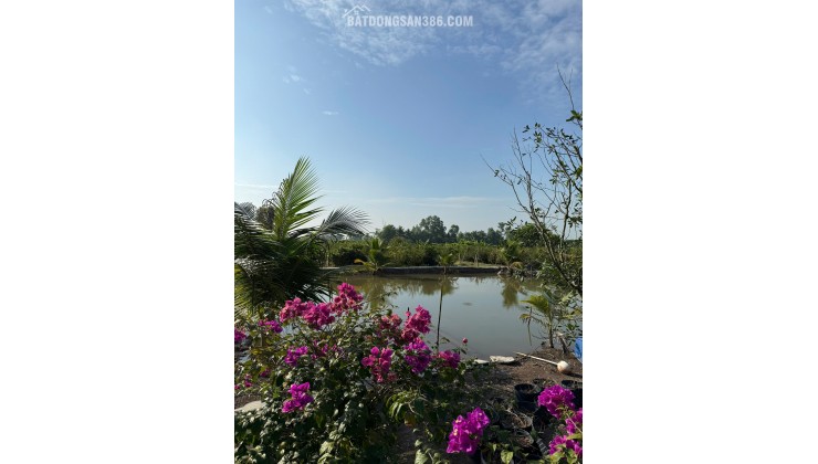 ĐẦU TƯ SINH LỜI - Chính Chủ Cần Bán Nhà Đất Tại Ấp 3, xã Tân Thành , huyện Thủ Thừa , tỉnh Long An