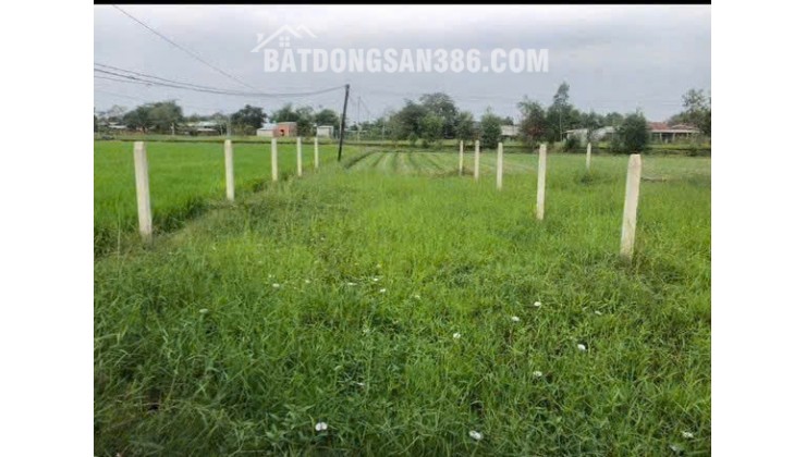 BÁN ĐẤT TẠI ĐỨC HOÀ DT102M2 SHR GIÁ BÁN 890T  THƯƠNG LƯỢNG. LH:0931821989.