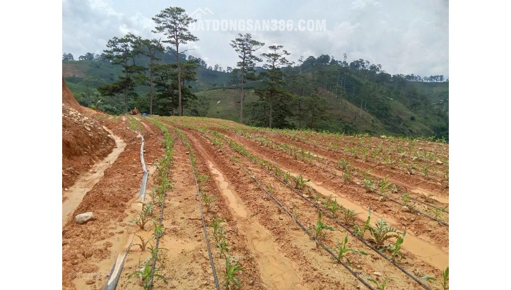 Bán đất tại xã Đạ Sar, Lạc Dương, Lâm Đồng, 400 triệu/1000m2 đẹp, nhiều tiện ích