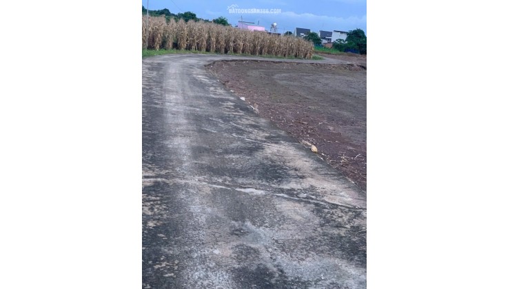 BÁN 4761m2 ĐẤT XÃ LÁNG DÀI, NGAY CHỢ LÁNG DÀI, HUYỆN ĐẤT ĐỎ BÀ RỊA (NAY LÀ XÃ ĐẤT ĐỎ - HCM)