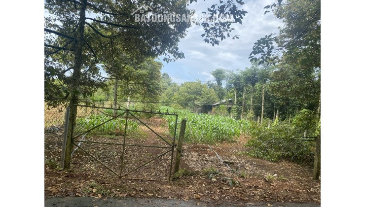 ĐẤT CHÍNH CHỦ - GIÁ TỐT Địa Chỉ Xã Xà Bang, Huyện Châu Đức, Tỉnh Bà Rịa Vũng Tàu