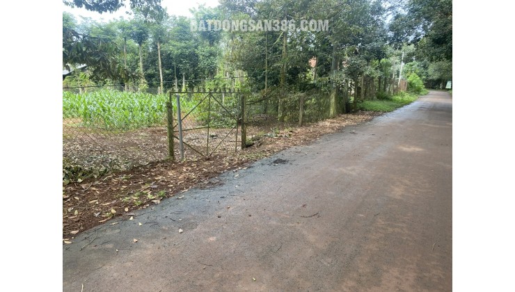 ĐẤT CHÍNH CHỦ - GIÁ TỐT Địa Chỉ Xã Xà Bang, Huyện Châu Đức, Tỉnh Bà Rịa Vũng Tàu