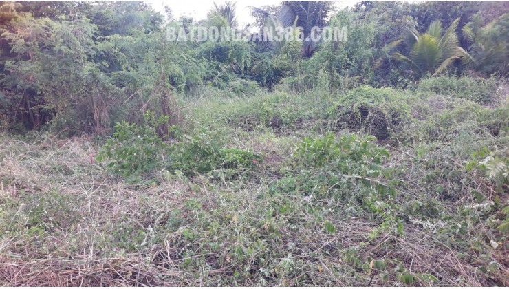 Cho thuê đất nền dài hạn 450M² Tại TP Long Khánh, Tỉnh Đồng Nai