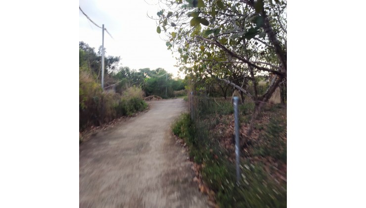 Cho thuê đất nền dài hạn 450M² Tại TP Long Khánh, Tỉnh Đồng Nai