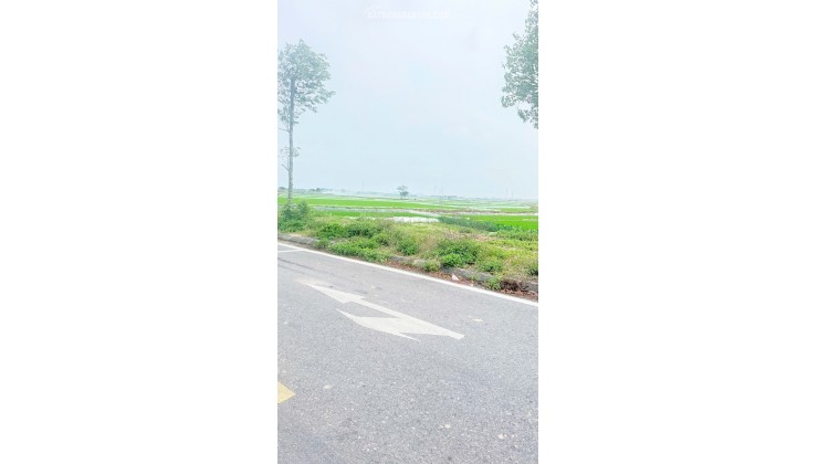 Bán Đất Khu Đô Thị Đức Giang, Yên Dũng, Bắc Giang. Cửa Ngõ KCN. 90m2- Mt 5m, Gia 3,3 tỷ