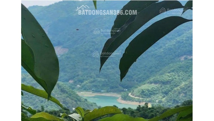 Đất bán tại ĐT 433, 1,1 tỷ, 1031 m2, huyện Đà Bắc, Hòa Bình