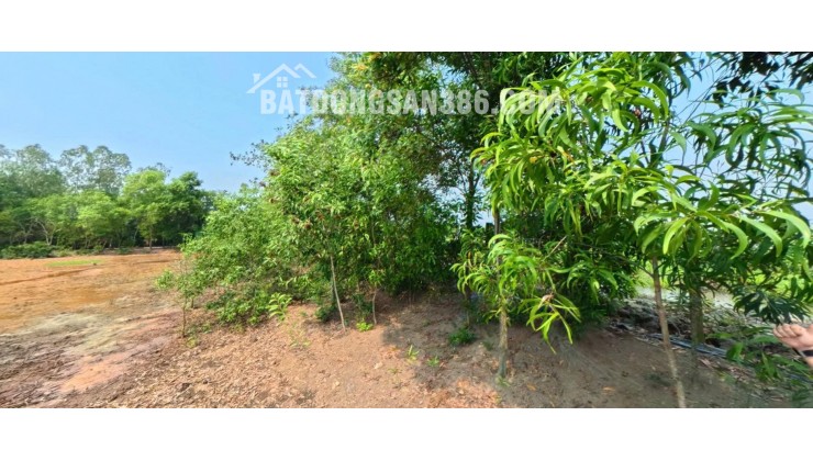 Đất view sông - Sát bên cầu Bình Khánh  .