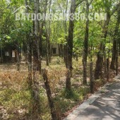 CẦN BÁN QUỸ ĐẤT LỚN 3 MẶT TIỀN NGAY SAU LƯNG CHỢ ĐỊNH HIỆP – DẦU TIẾNG