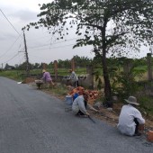 Bán đất Long Chánh – Gò Công – Diện tích 828,9m có 200 thổ cư – Hạ giá bán gấp 2,4tỳ