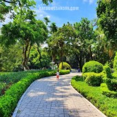 ĐỪNG ĐỂ 10 NĂM NỮA PHẢI TIẾC NUÔI VÌ BỎ LỠ 