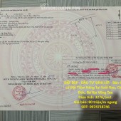 ĐẤT ĐẸP - ĐẦU TƯ SINH LỜI - Bán GẤP Lô Đất Tiềm Năng Tại Suối Rao, Châu Đức, Bà Rịa Vũng Tàu