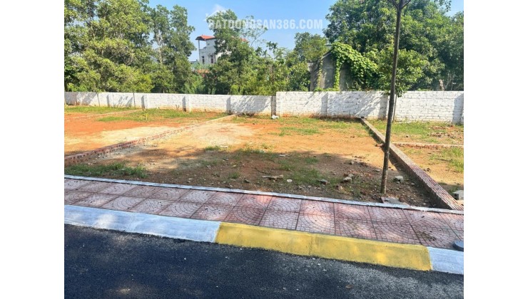 Gấp, bán nhanh lô đất sát dự án đất đấu giá, gần QL21, gần ĐHQG, FPT tại Hoà Lạc