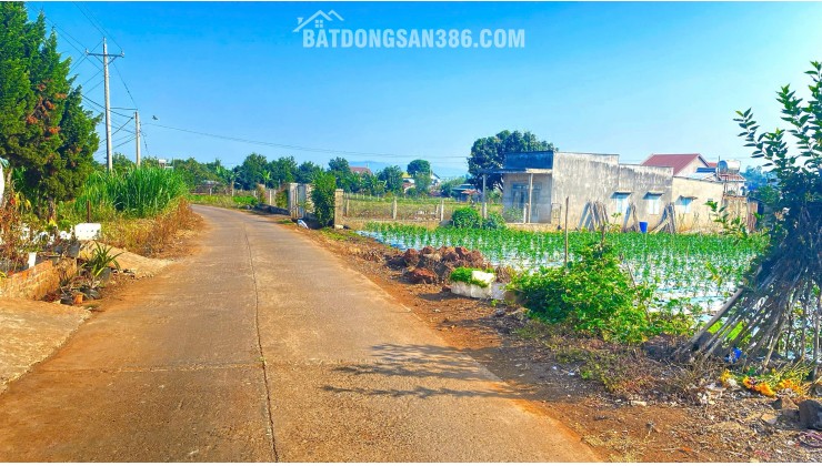 500m2 mặt hẻm tân phú, tân hội, đức trọng cũ, lâm đồng