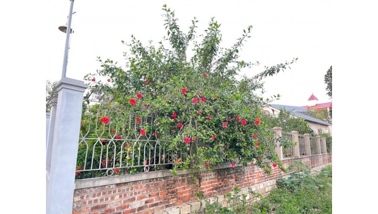 BÁN ĐẤT XÂY NHÀ TRỌ TÂM ĐIỂM KHU CÔNG NGHỆ CAO HÒA LẠC SÁT CÁC TRƯỜNG ĐẠI HỌC LỚN