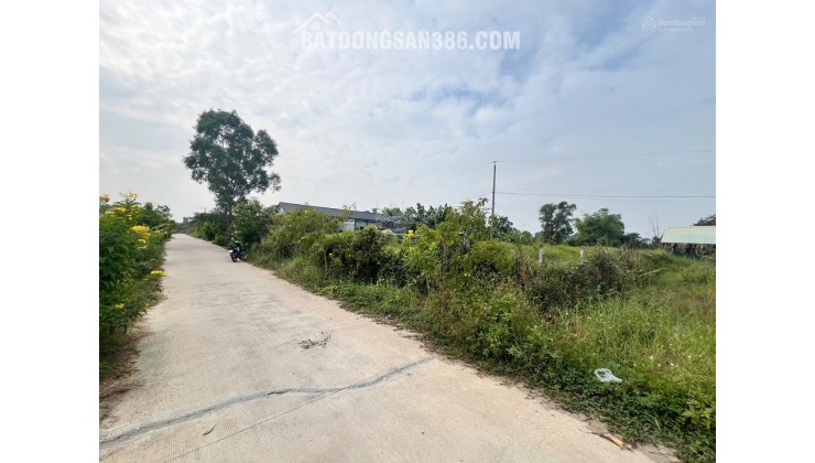 CHÍNH CHỦ HẠ GIÁ, CẦN BÁN GẤP ĐẤT ĐẸP XÃ ĐỨC HOÀ ĐÔNG, GẦN ĐƯỜNG 823D MỞ RỘNG GIÁ CỰC TỐT