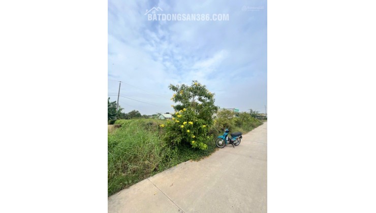 CHÍNH CHỦ HẠ GIÁ, CẦN BÁN GẤP ĐẤT ĐẸP XÃ ĐỨC HOÀ ĐÔNG, GẦN ĐƯỜNG 823D MỞ RỘNG GIÁ CỰC TỐT