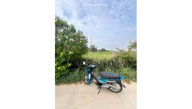 CHÍNH CHỦ HẠ GIÁ, CẦN BÁN GẤP ĐẤT ĐẸP XÃ ĐỨC HOÀ ĐÔNG, GẦN ĐƯỜNG 823D MỞ RỘNG GIÁ CỰC TỐT