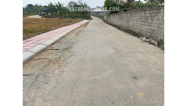 Bán Đất Thôn Cổng Sau, Hướng Đạo, khu công nghiệp Tam Dương 1, Vĩnh Phúc 100m, 800 triệu, xây nhà trọ, nhà ở.