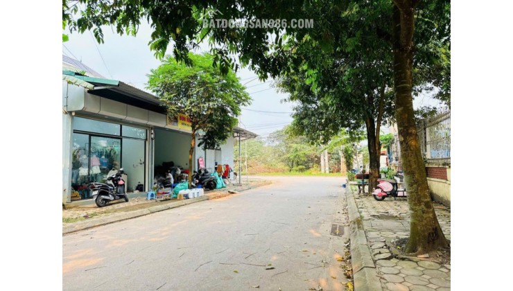 Bán đất thổ 98m2, sắn sổ khu lõi Công Nghệ Cao Hòa Lạc, Bình Yên, Thạch Thất, đường 2 ô tô tránh