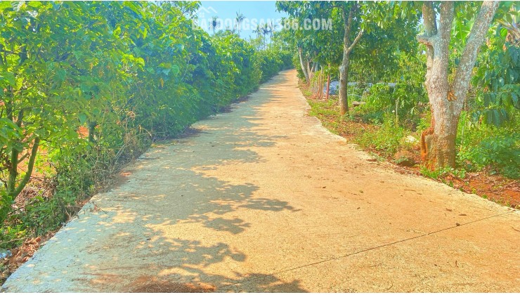 Gần 1,7 sào hẻm ql27, liên hiệp, đức trọng cũ, lâm đồng