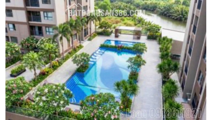 Căn hộ Mường Thanh Phú Hữu giá từ 45 triệu/m² – tiềm năng cho thuê chuyên gia khu Đông