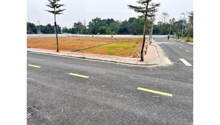 Đất nền Phú Cát - Đầu tư Lộc Phát chỉ nhỉnh 3 tỷ.