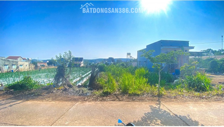 500m2 mặt hẻm tân phú, tân hội, đức trọng cũ, lâm đồng