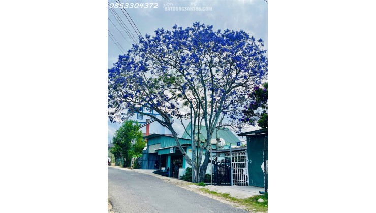 ĐẤT ĐẸP CAO BÁ QUÁT – GIÁ GIẢM SÂU – CƠ HỘI HIẾM!