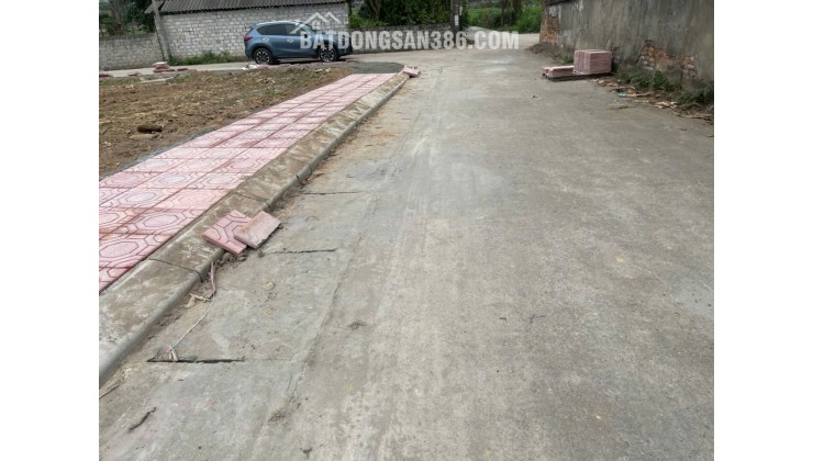 Bán Đất Thôn Cổng Sau, Hướng Đạo, khu công nghiệp Tam Dương 1, Vĩnh Phúc 100m, 800 triệu, xây nhà trọ, nhà ở.
