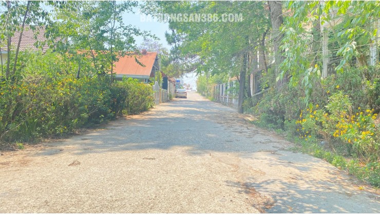 1.832m2  hẻm lớn trần quang diệu, phường 10, đà lạt