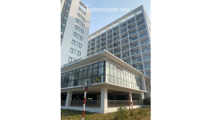 Chủ ngộp banh bán mảnh đất 128m2 rẻ hơn xung quanh 5 - 600 triệu ngay cạnh CNC Hoà Lạc